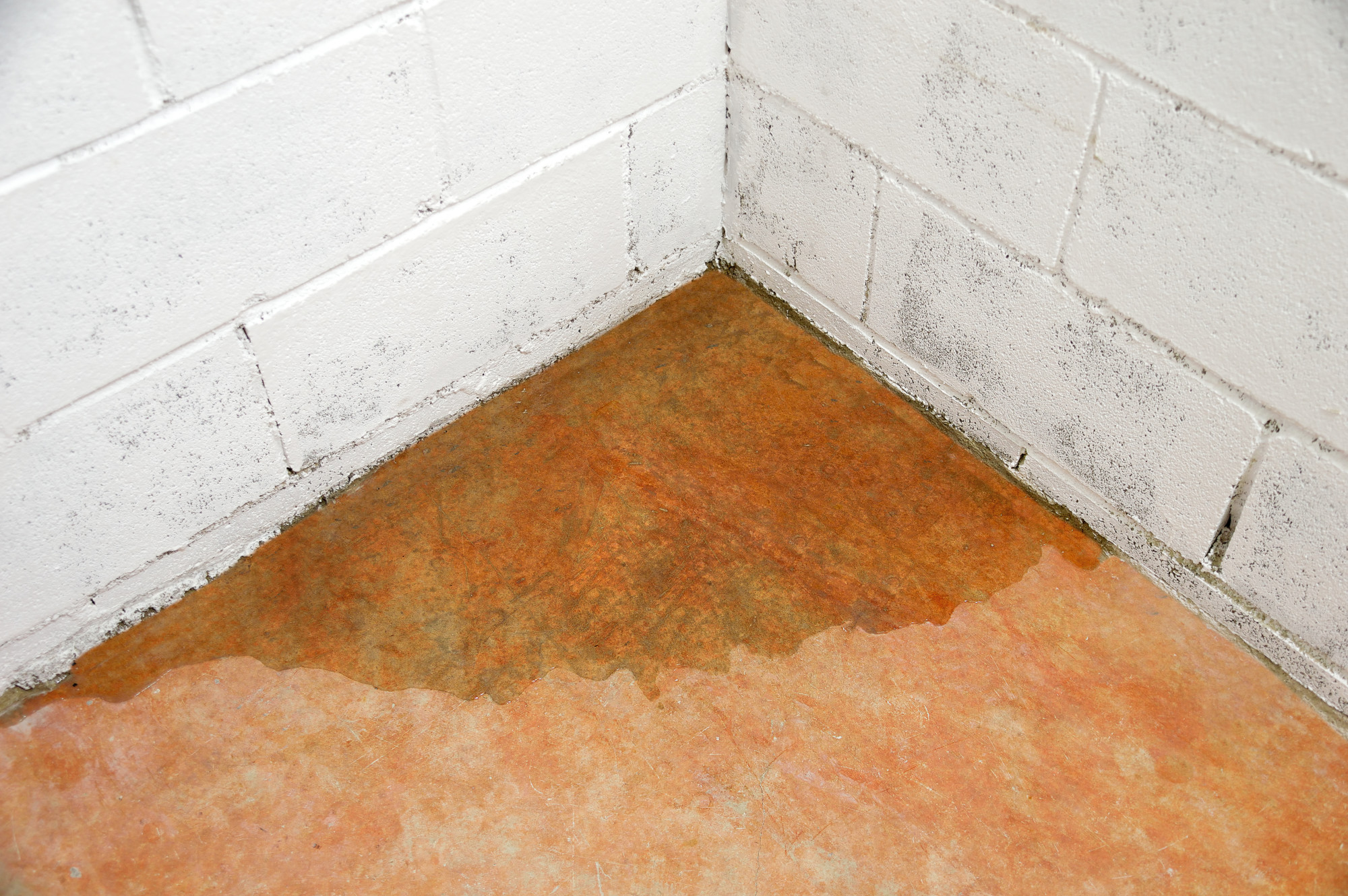Damp basement caused by poor gutter drainage in Katy, Texas